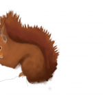 Eichhörnchen_farbe